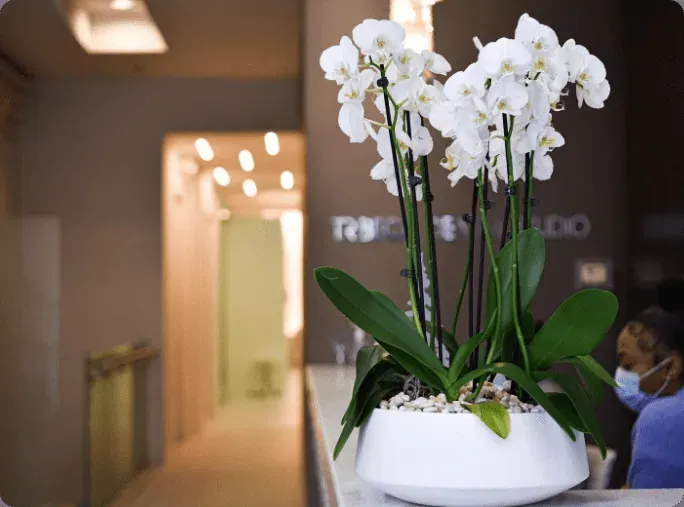 Kids Dentist Near SoHo: Gentle Care Minutes Away